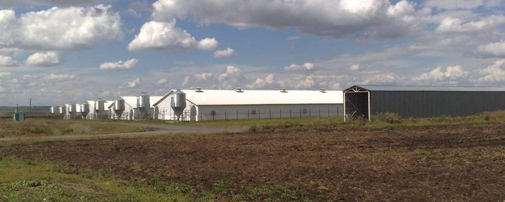 
            Фотография Шаховки