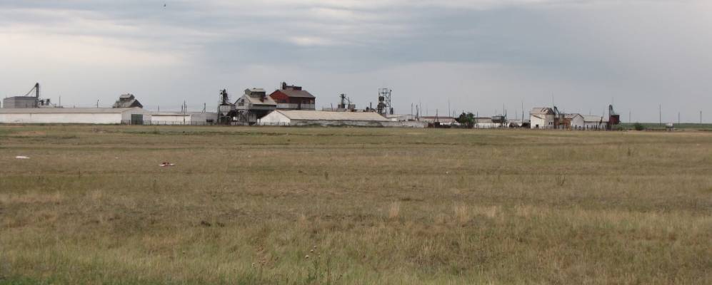 
            Фотография Розовки