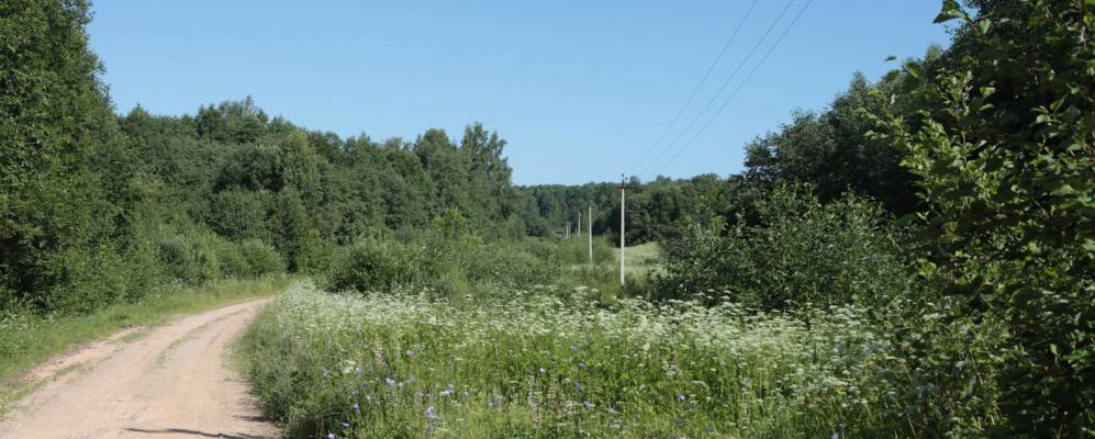 Фотография Бочурино