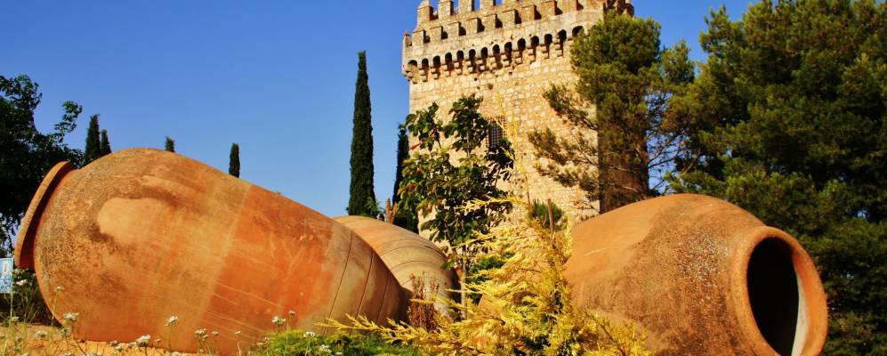 
            Фотография Аларкона