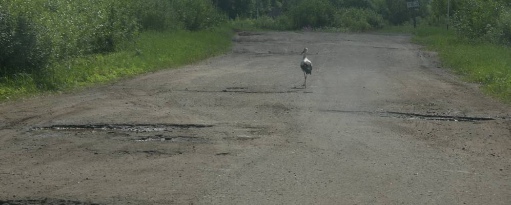 
            Фотография Яблоново