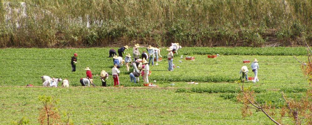 
            Фотография Бенамокарры