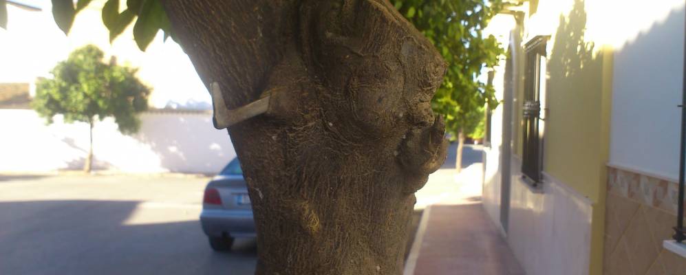 
            Фотография Мариналеды