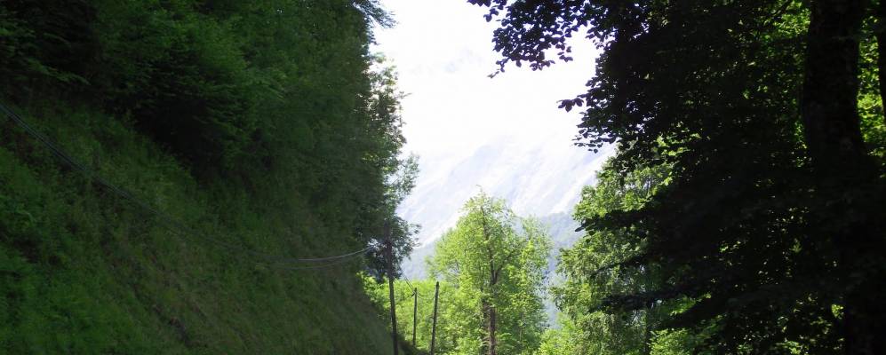 Фотография Арбеоста