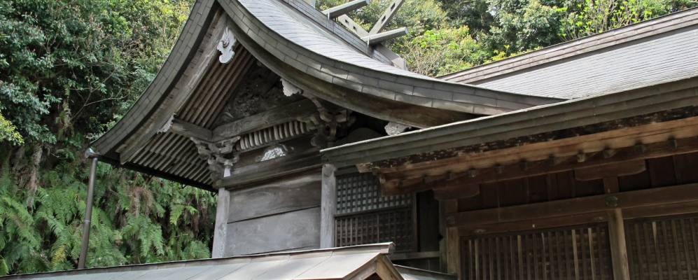 
            Фотография Ясуги