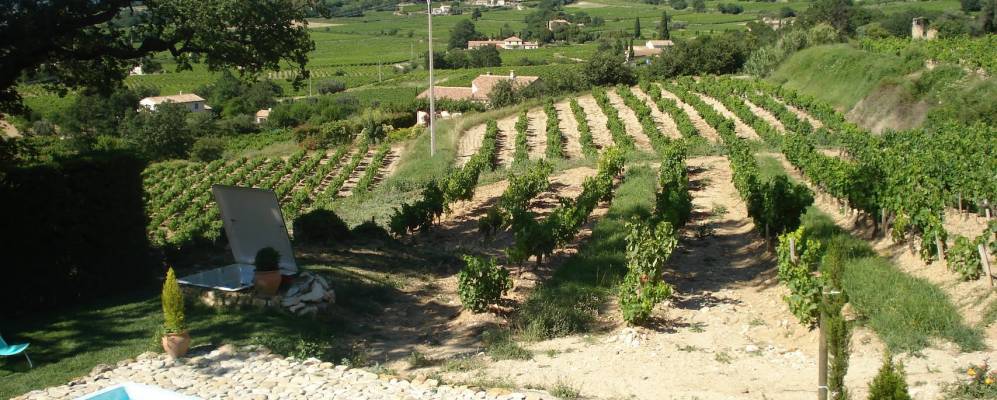 
            Фотография Сабле