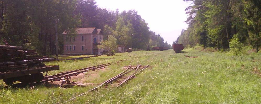 
            Фотография Правдинского