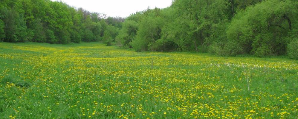 
            Фотография Осняга