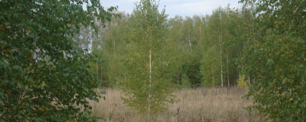 Фотография Обуховки