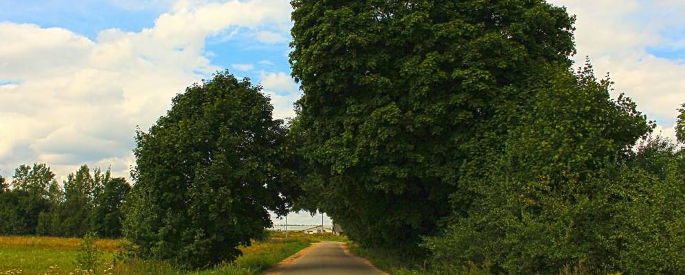 
            Фотография Мостища