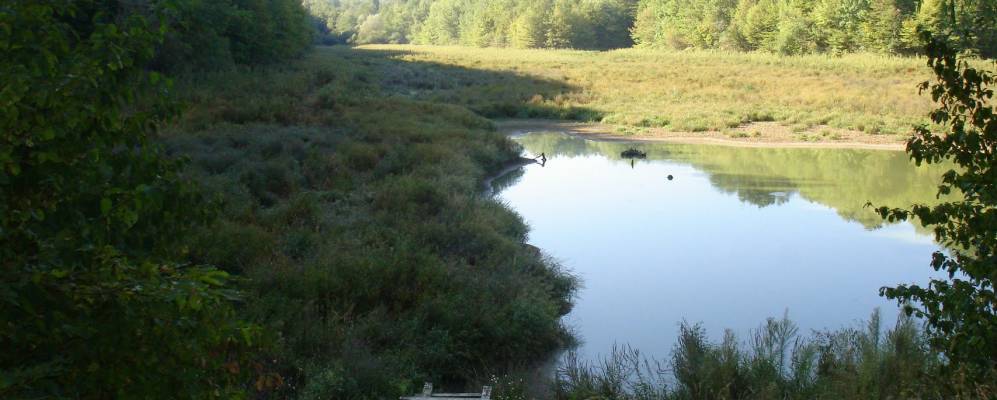 Фотография Кутаисской