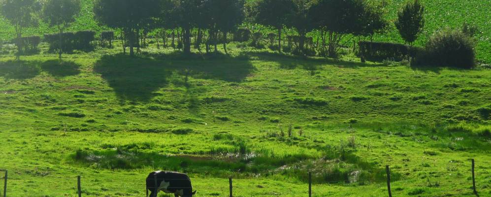 
            Фотография Норбека