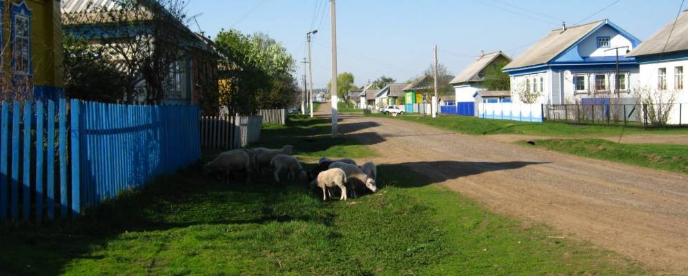 Фотография Четырмана