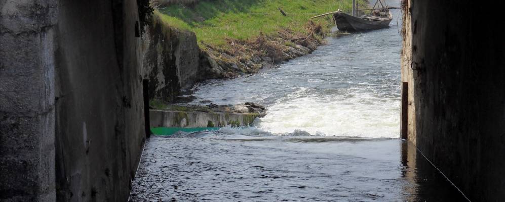 
            Фотография Савонньера