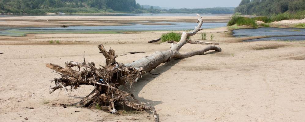 Фотография Трухино