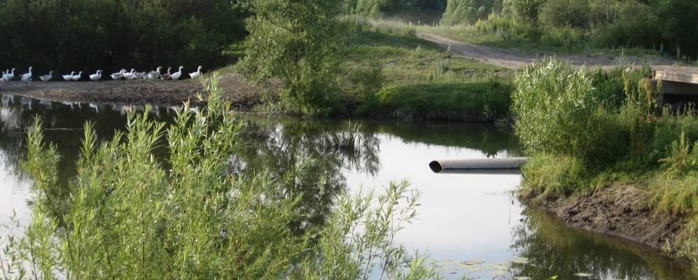 
            Фотография Болонино