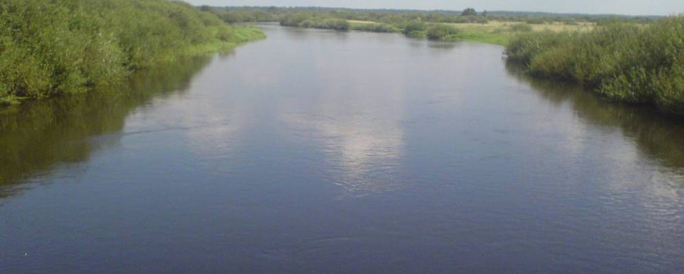 Фотография деревни Мерчицы