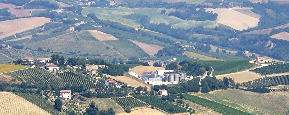 
            Фотография Рипатрансоне