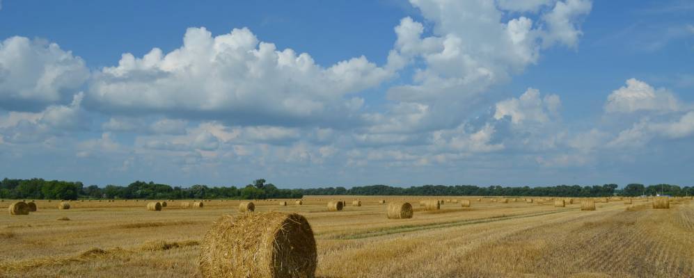 
            Фотография Радченки