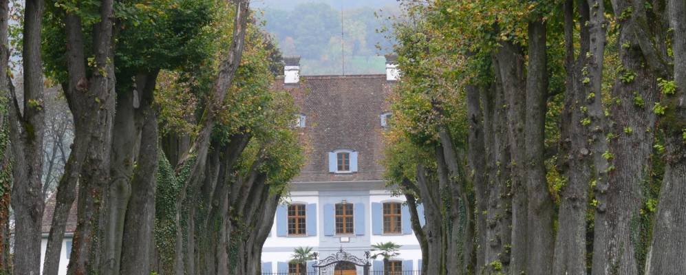 
            Фотография Зиссаха