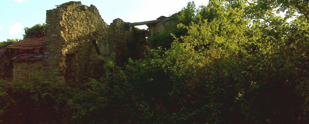 Фотография Пиегаио