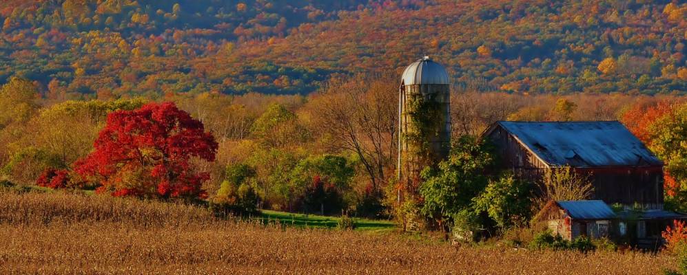 
            Фотография Кловер Хилла