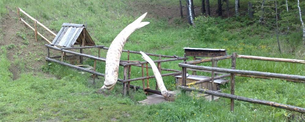 
            Фотография Рябинок