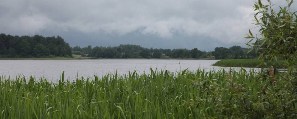 
            Фотография Комово