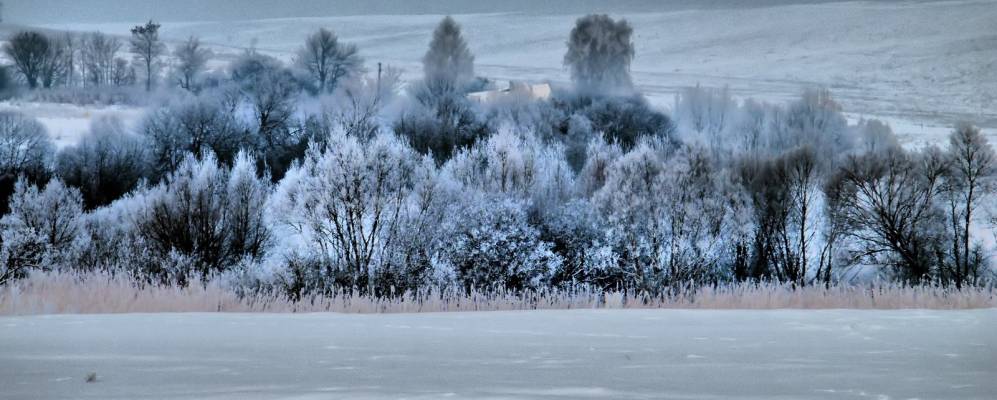 
            Фотография Квасова