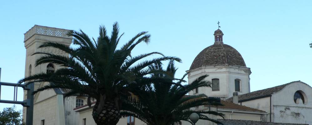 
            Фотография Вилазора