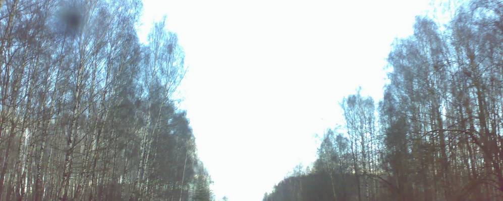 
            Фотография Лебедево