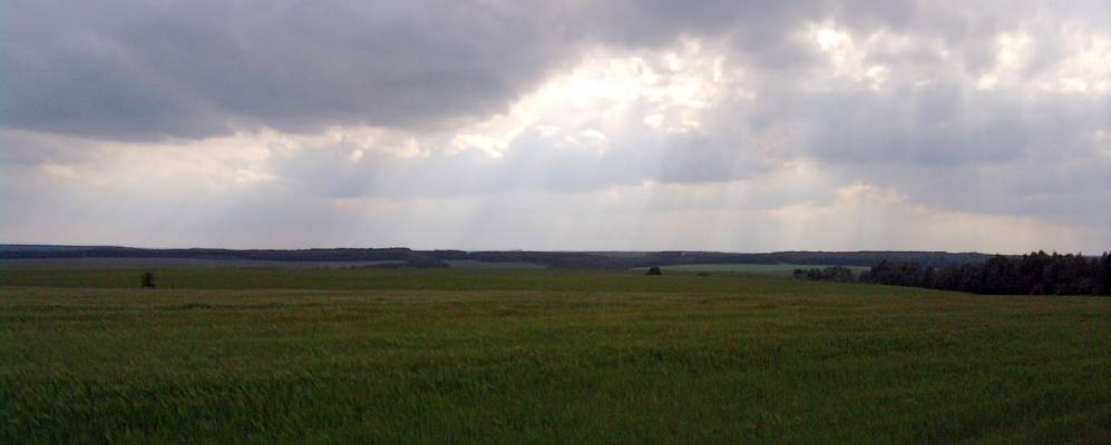 
            Фотография Петрани