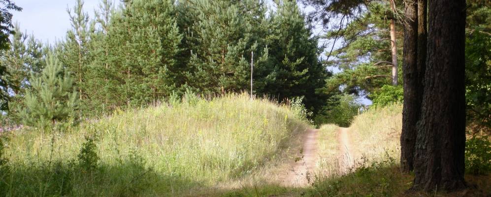 
            Фотография Лога