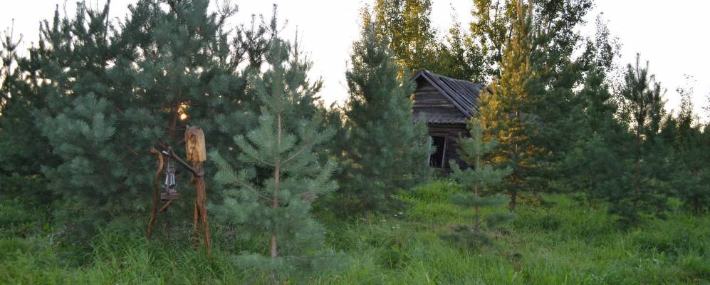 
            Фотография Масленской