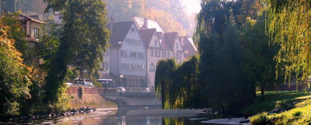 
            Фотография Кальва