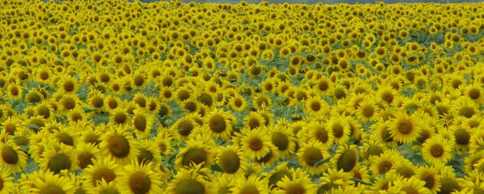 
            Фотография Ставецкого