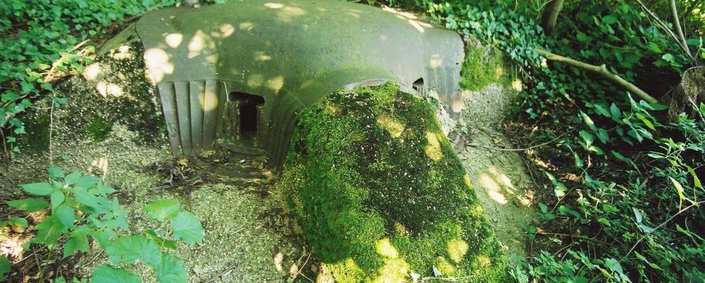 
            Фотография Лонгюйона