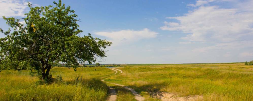 
            Фотография поселка Канторовичи