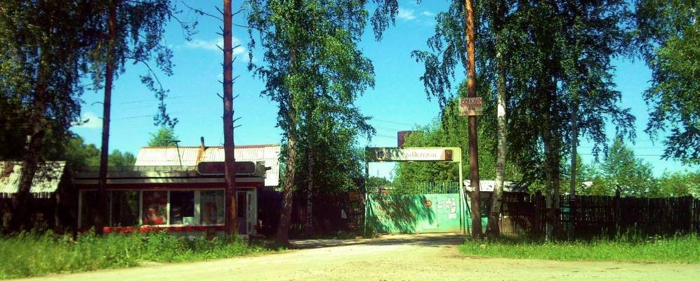 
            Фотография Растущего