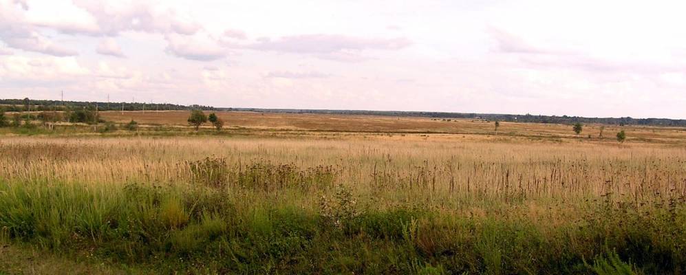 
            Фотография Красностава