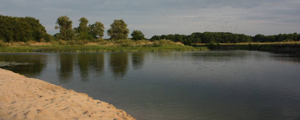 
            Фотография Нижнего Мордока