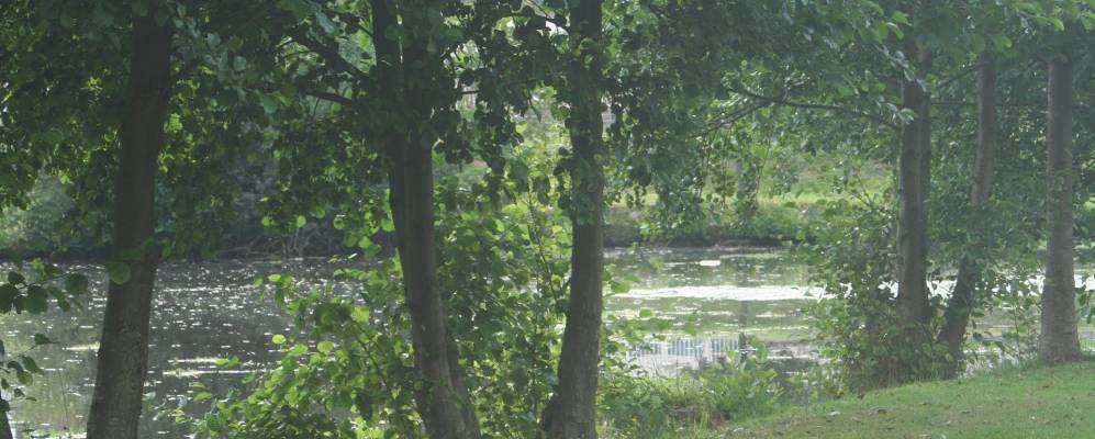 
            Фотография Сенонша