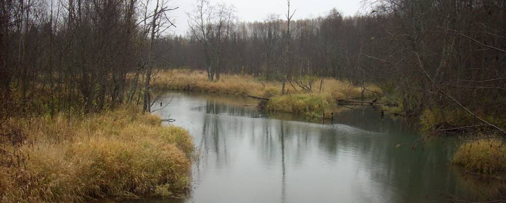 
            Фотография Верхнеивкино