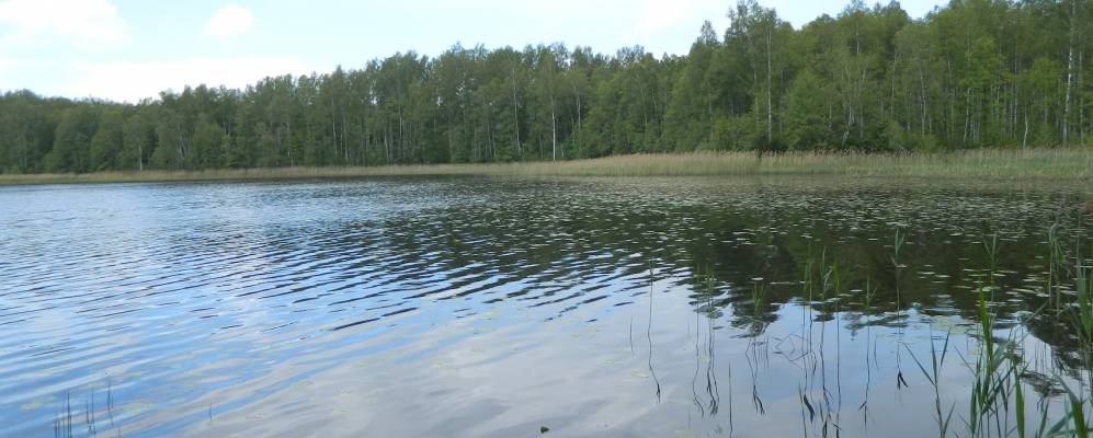 
            Фотография Ольховца