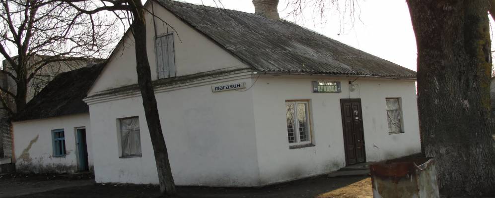 
            Фотография Криничного