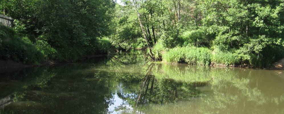 
            Фотография Зеленого Берега