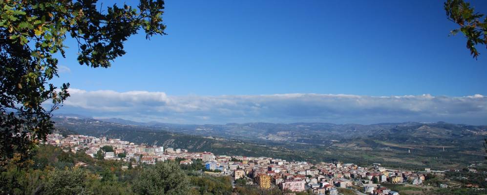 
            Фотография Котроней