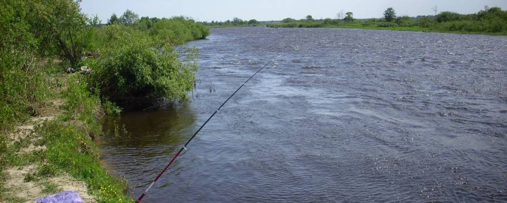 
            Фотография деревни Сачковичи