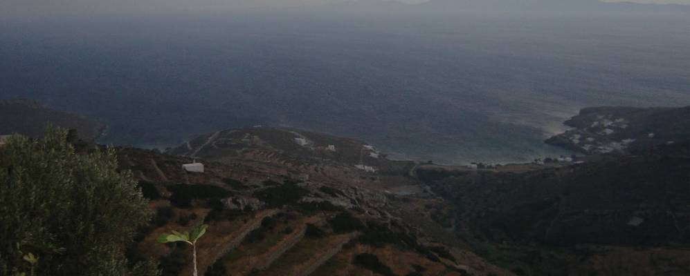 
            Фотография Кардиани