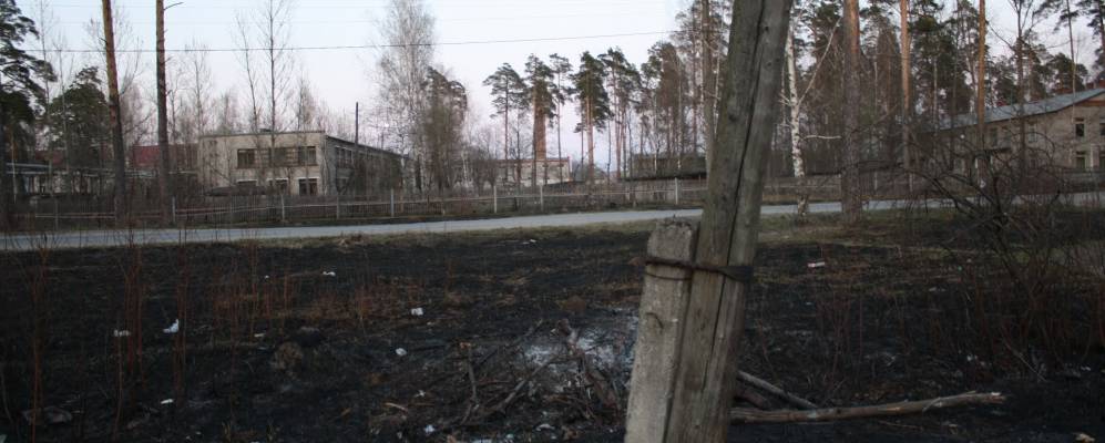 
            Фотография Афонино